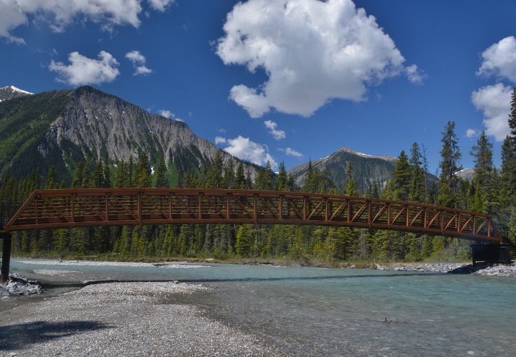 bridge over the river